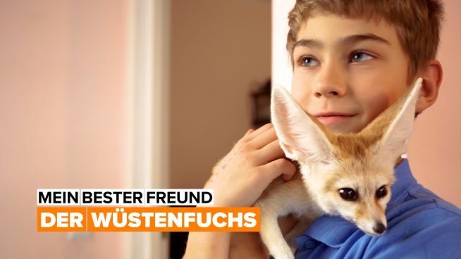 Mein bester Freund: der Wüstenfuchs