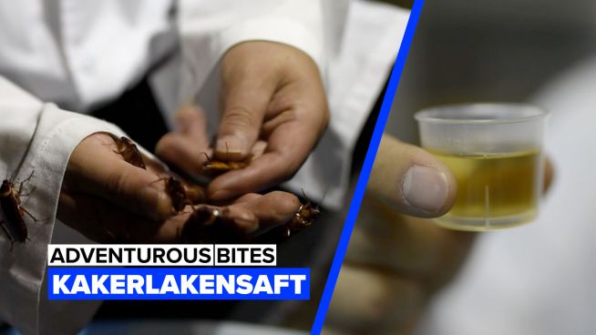 Ist Kakerlakensaft gesund?