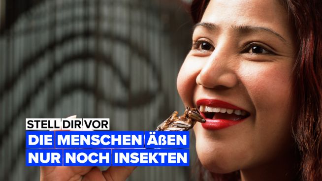 Stell dir vor, die Menschen würden sich ausschließlich von Insekten ernähren