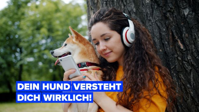 Hunde erkennen Fremdsprachen