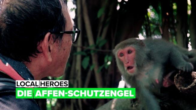 Local heroes: Die Affen-Schutzengel