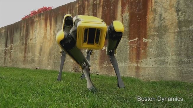 Hartes Fell: Tech-Firma präsentiert neuen Robohund